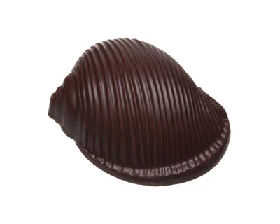 Belgická pralinka Escargot Dark Chocolate