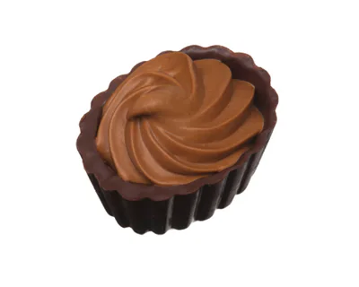 Belgická pralinka Marijke Dark Chocolate