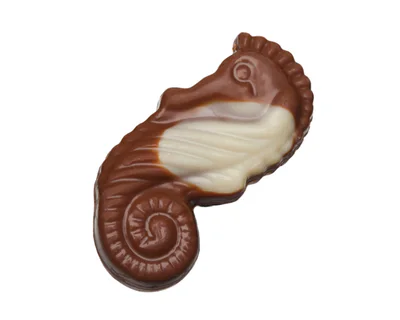 Belgická pralinka Sea Shells Milk & White Chocolate